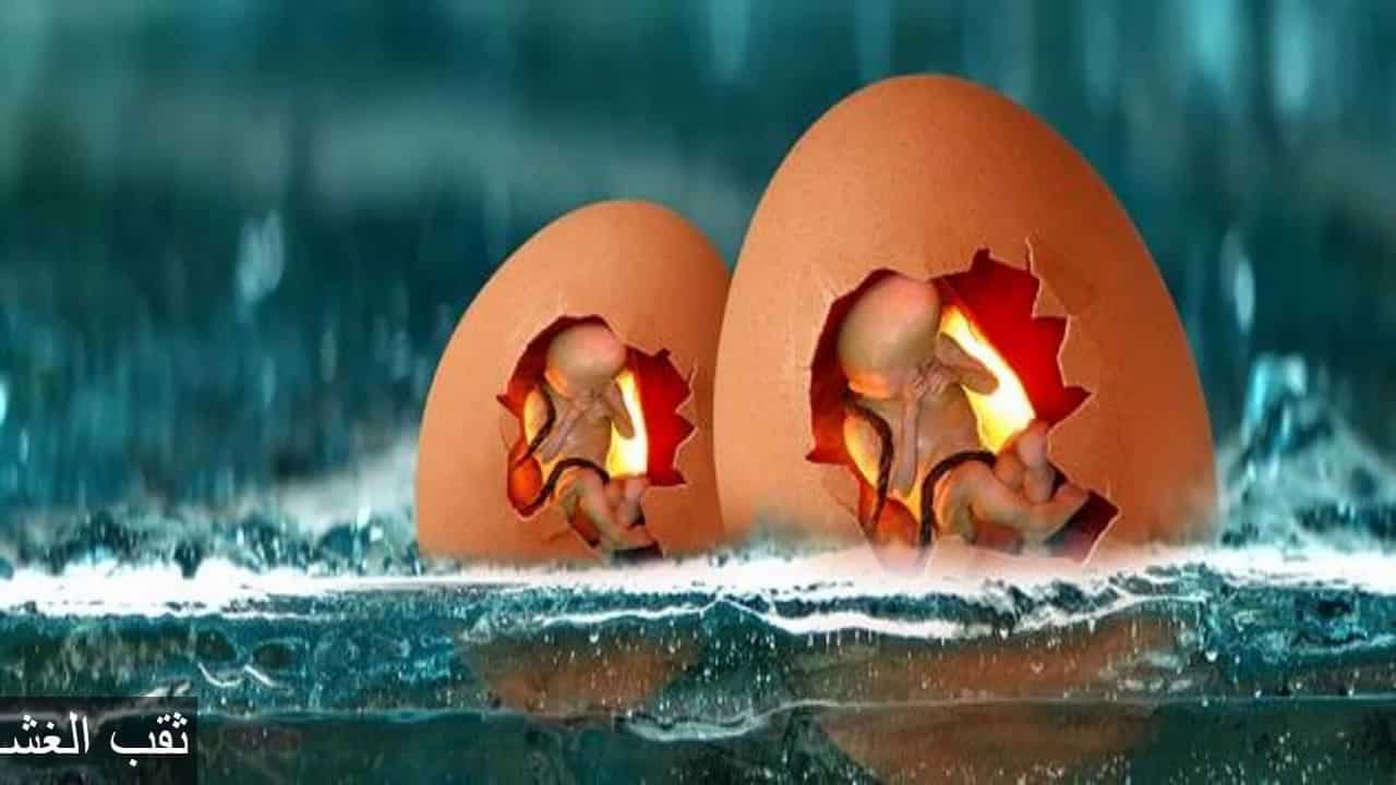 ثقب الغشاء المغلف للجنين
