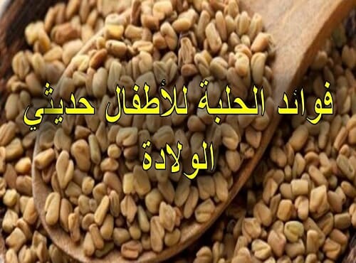 فوائد الحلبة للاطفال الرضع حديثى الولادة