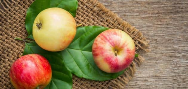 أضرار التفاح المسلوق للرضع