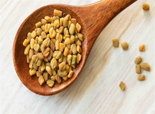 ما فوائد الحلبة للاطفال الرضع