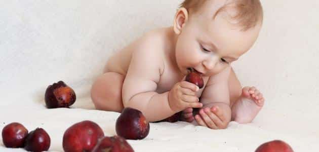 متى يعطى التفاح المسلوق للرضع