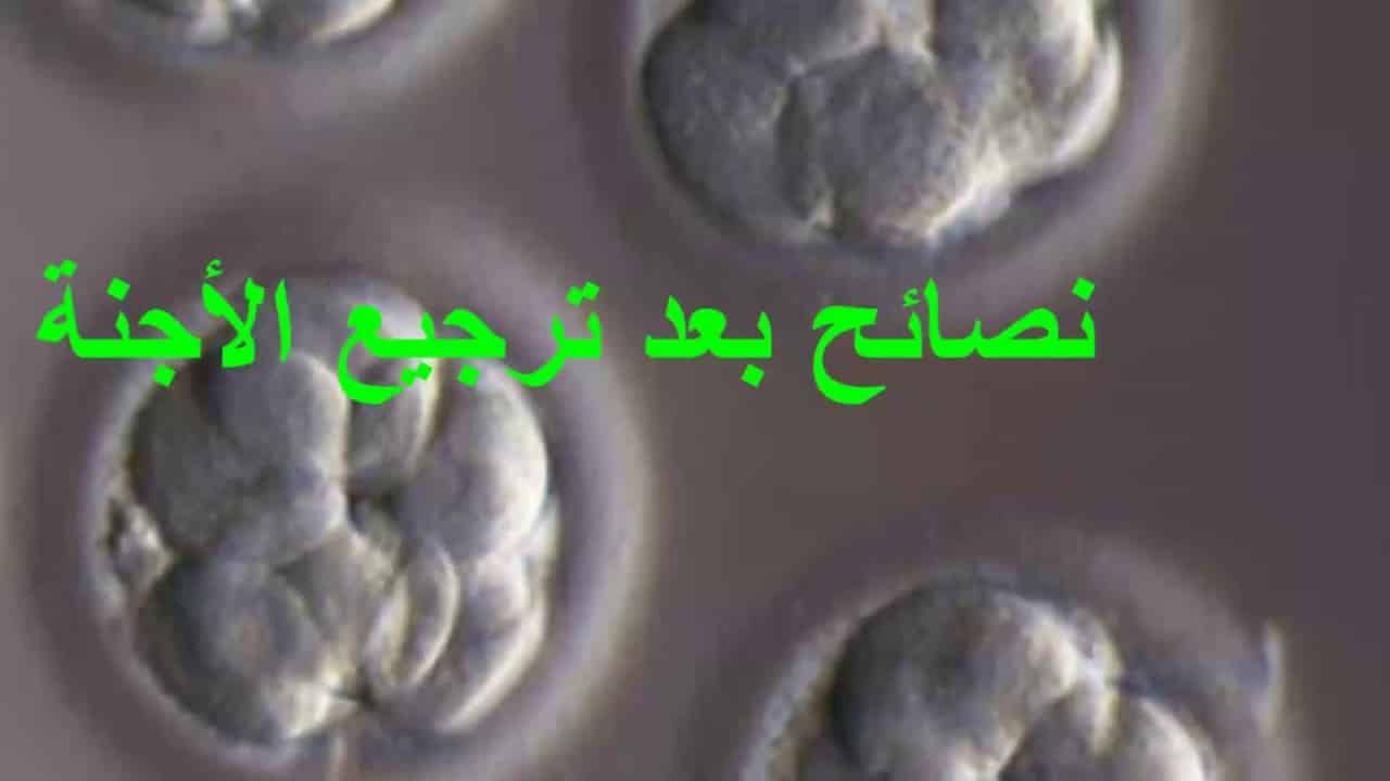 نصائح بعد ترجيع الاجنه