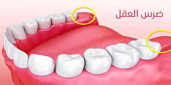 اهمية ضرس العقل